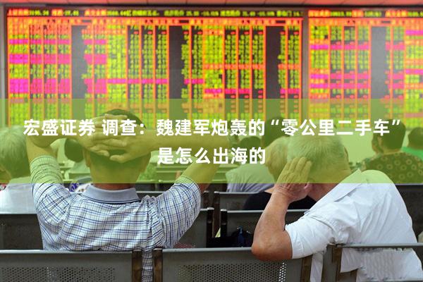 宏盛证券 调查：魏建军炮轰的“零公里二手车”是怎么出海的