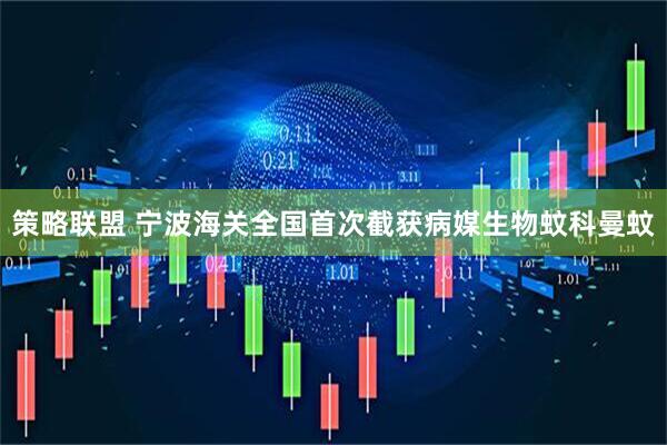 策略联盟 宁波海关全国首次截获病媒生物蚊科曼蚊
